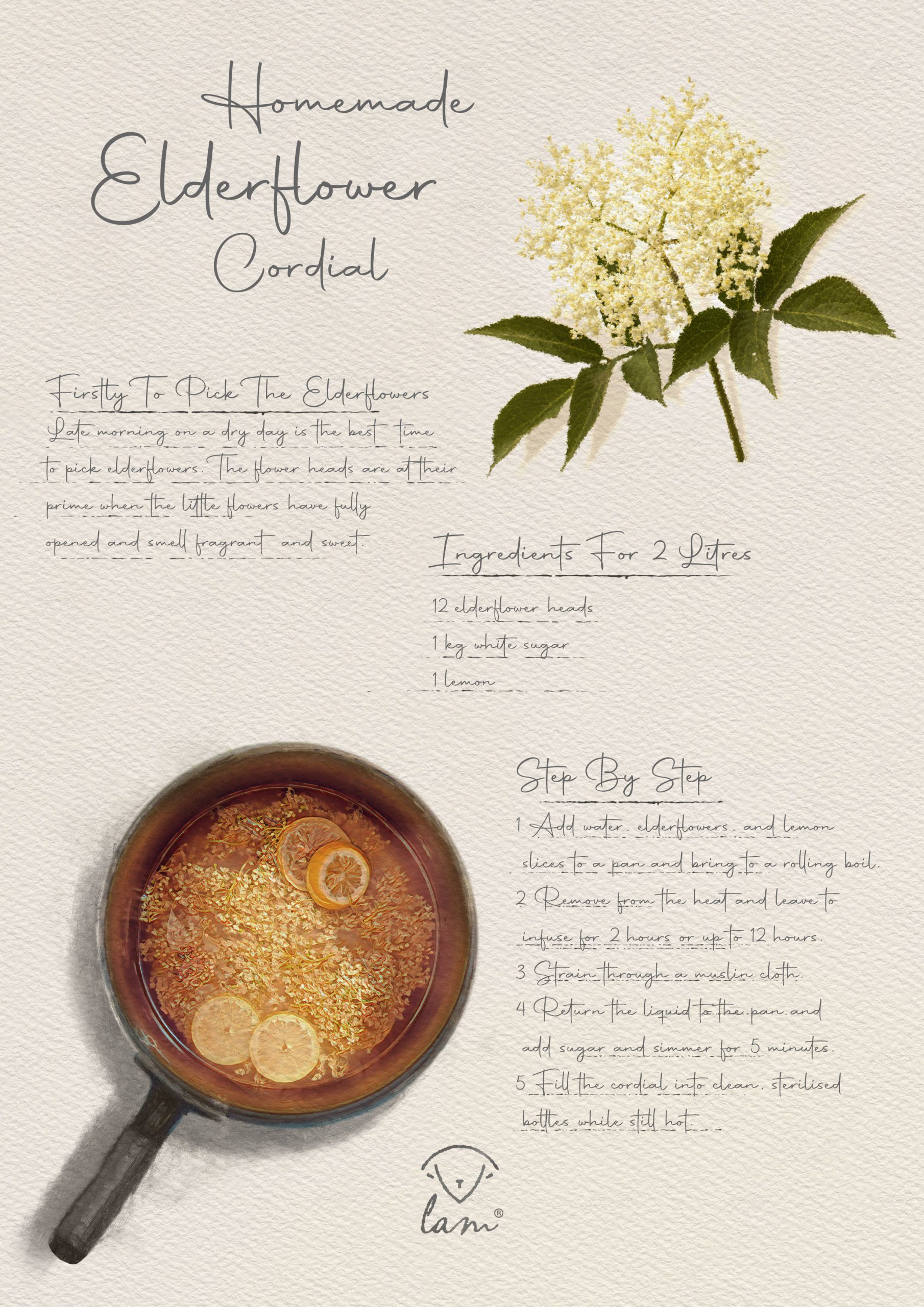 Elderflower cordial recipe