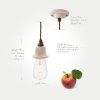 Delphinium-Pendant-Light - Image 7