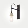 Nayland Delphinium Wall Light
