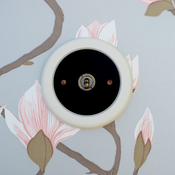 1 Gang Black Switch With Brass Toggle