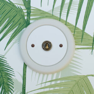1 Gang White With Brass Toggle Switch