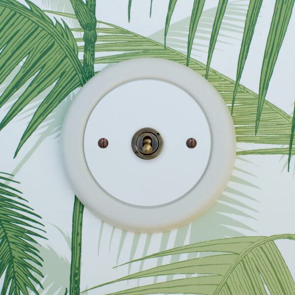 1 Gang White Switch With Brass Toggle