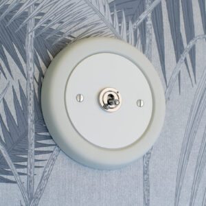 1 Gang White With Chrome Toggle Switch