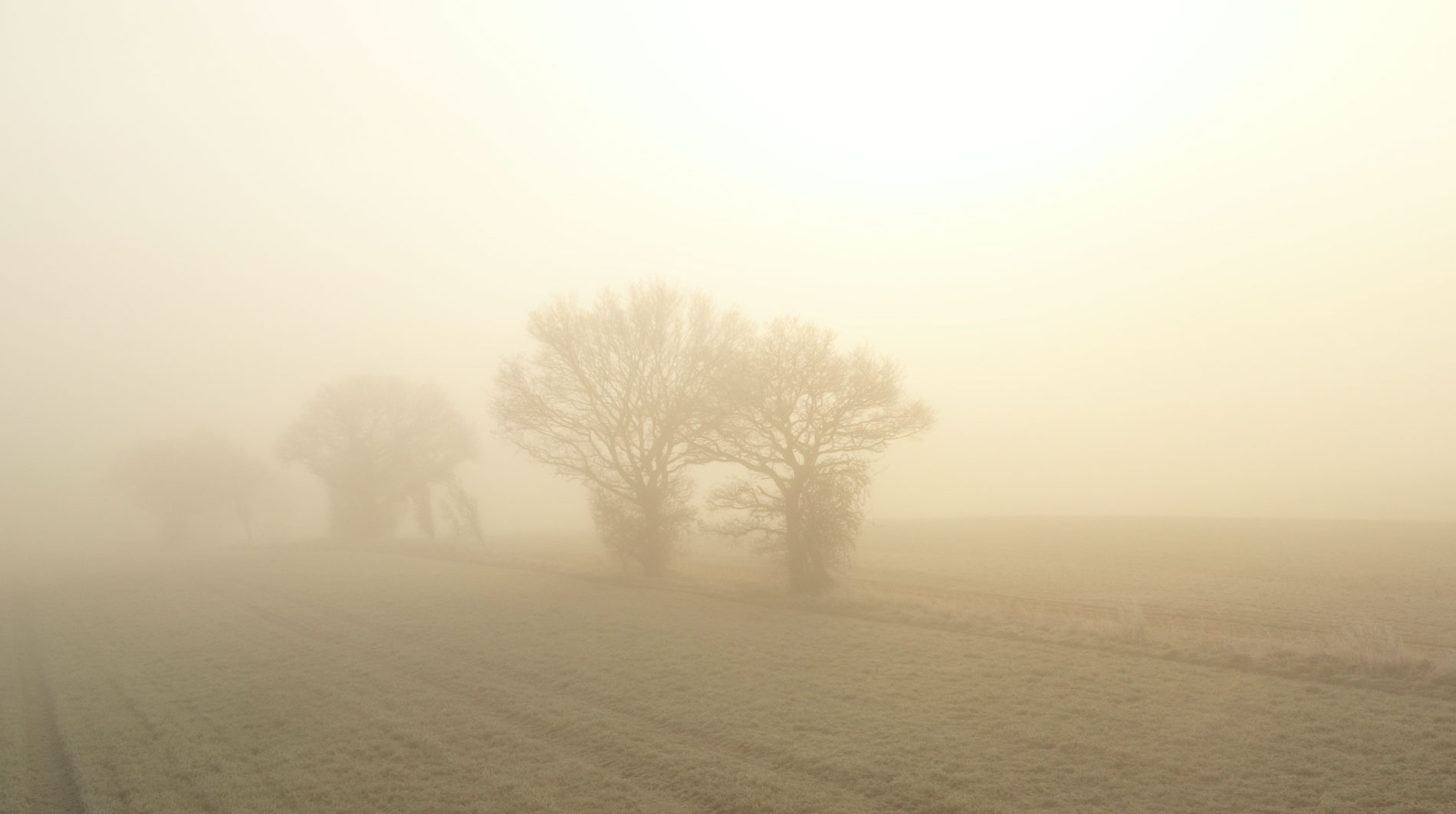 British Crastsperson Julie Lam
